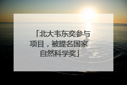 北大韦东奕参与项目，被提名国家自然科学奖