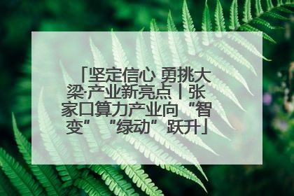坚定信心 勇挑大梁·产业新亮点丨张家口算力产业向“智变”“绿动”跃升