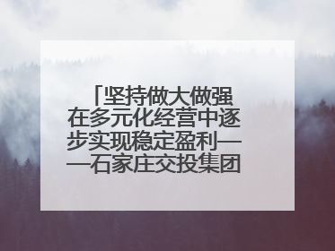 坚持做大做强 在多元化经营中逐步实现稳定盈利——石家庄交投集团做优做强典型报道之三