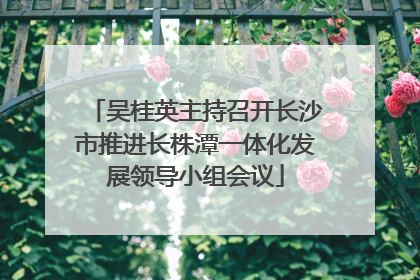 吴桂英主持召开长沙市推进长株潭一体化发展领导小组会议