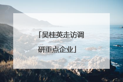 吴桂英走访调研重点企业