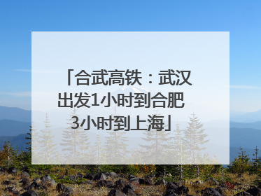 合武高铁：武汉出发1小时到合肥3小时到上海