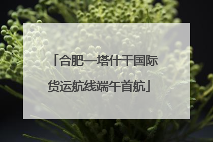 合肥—塔什干国际货运航线端午首航
