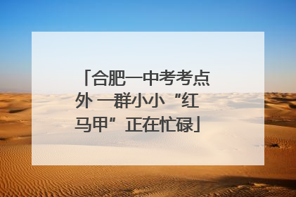 合肥一中考考点外 一群小小“红马甲”正在忙碌
