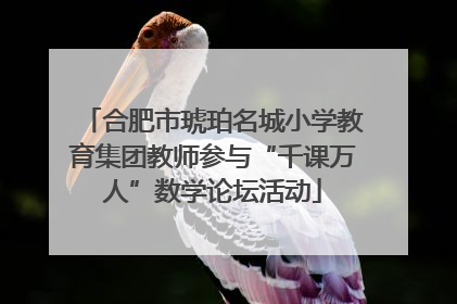 合肥市琥珀名城小学教育集团教师参与“千课万人”数学论坛活动