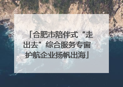 合肥市陪伴式“走出去”综合服务专窗护航企业扬帆出海
