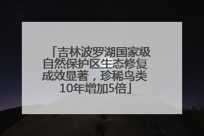 吉林波罗湖国家级自然保护区生态修复成效显著，珍稀鸟类10年增加5倍