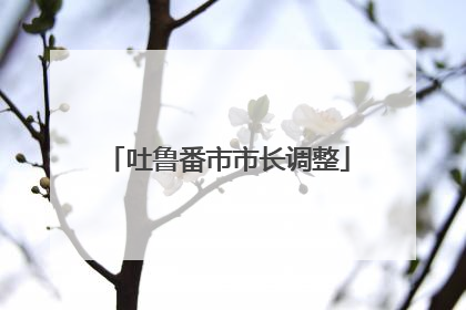 吐鲁番市市长调整