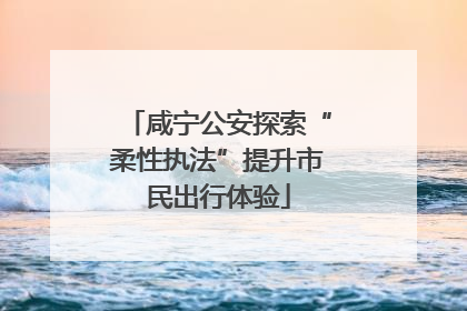 咸宁公安探索“柔性执法”提升市民出行体验