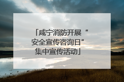 咸宁消防开展“安全宣传咨询日”集中宣传活动