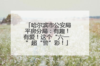 哈尔滨市公安局平房分局：有趣！有爱！这个“六一”超“警”彩！