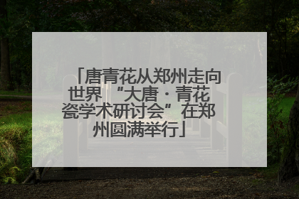 唐青花从郑州走向世界 “大唐・青花瓷学术研讨会”在郑州圆满举行