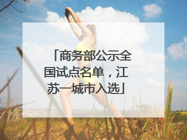 商务部公示全国试点名单，江苏一城市入选