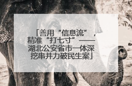 善用“信息流”，精准“打七寸”——湖北公安省市一体深挖串并力破民生案