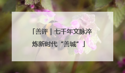 善评｜七千年文脉淬炼新时代“善城”