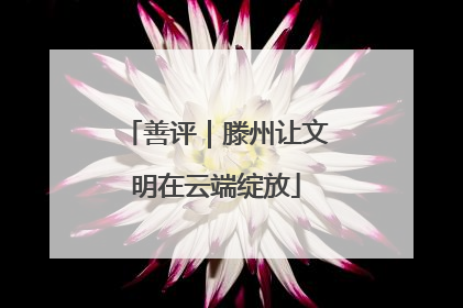 善评｜滕州让文明在云端绽放
