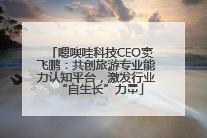 嗯噢哇科技CEO窦飞鹏：共创旅游专业能力认知平台，激发行业“自生长”力量