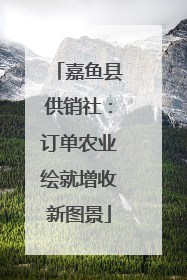 嘉鱼县供销社：订单农业绘就增收新图景