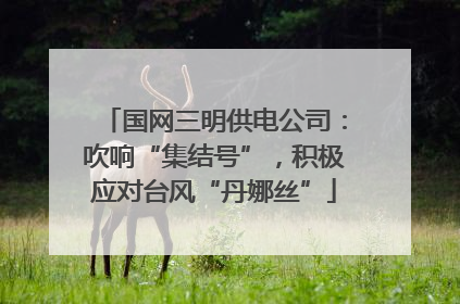 国网三明供电公司：吹响“集结号”，积极应对台风“丹娜丝”