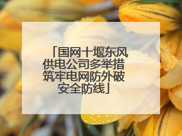 国网十堰东风供电公司多举措筑牢电网防外破安全防线
