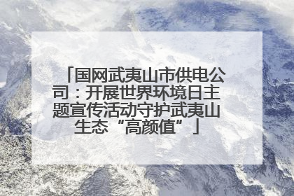 国网武夷山市供电公司：开展世界环境日主题宣传活动守护武夷山生态“高颜值”