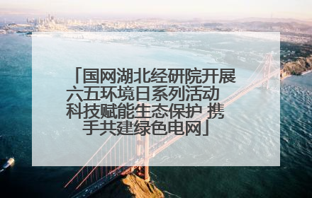 国网湖北经研院开展六五环境日系列活动 科技赋能生态保护 携手共建绿色电网