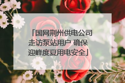 国网荆州供电公司走访泵站用户 确保迎峰度夏用电安全