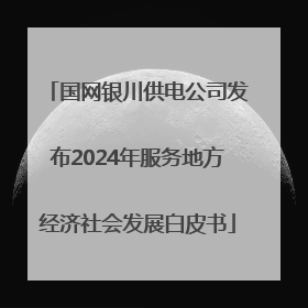 国网银川供电公司发布2024年服务地方经济社会发展白皮书