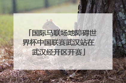 国际马联场地障碍世界杯中国联赛武汉站在武汉经开区开赛