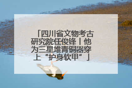 四川省文物考古研究院任俊锋丨他为三星堆青铜器穿上“护身软甲”