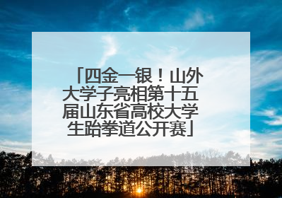 四金一银！山外大学子亮相第十五届山东省高校大学生跆拳道公开赛