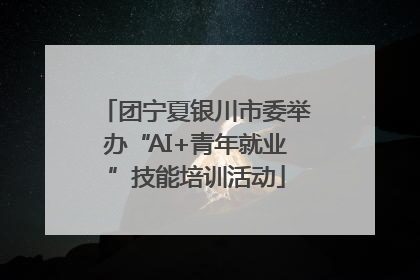 团宁夏银川市委举办“AI+青年就业”技能培训活动