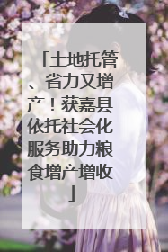 土地托管、省力又增产！获嘉县依托社会化服务助力粮食增产增收