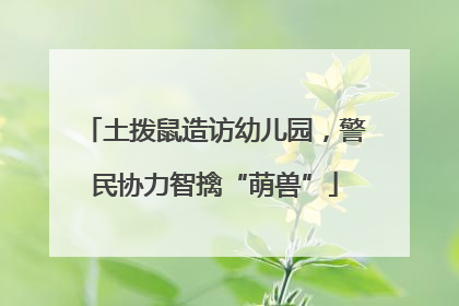 土拨鼠造访幼儿园，警民协力智擒“萌兽”