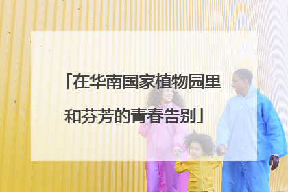 在华南国家植物园里和芬芳的青春告别