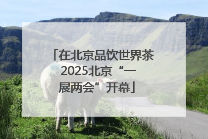 在北京品饮世界茶 2025北京“一展两会”开幕