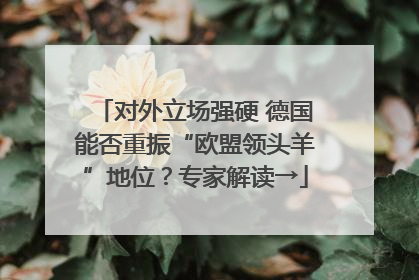对外立场强硬 德国能否重振“欧盟领头羊”地位？专家解读→