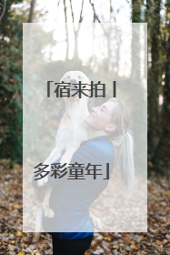 宿来拍丨多彩童年
