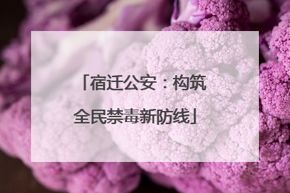 宿迁公安：构筑全民禁毒新防线