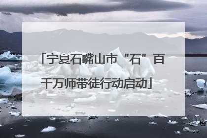 宁夏石嘴山市“石”百千万师带徒行动启动