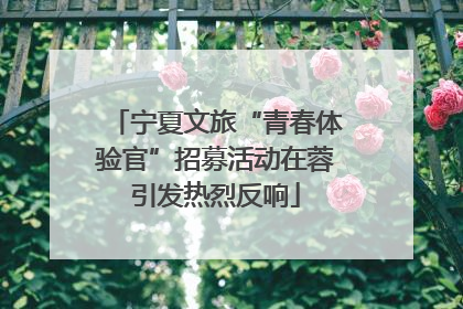 宁夏文旅“青春体验官”招募活动在蓉引发热烈反响