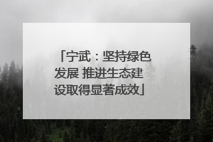 宁武：坚持绿色发展 推进生态建设取得显著成效