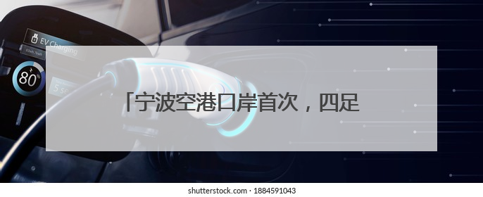 宁波空港口岸首次，四足机器人“打飞的”出海