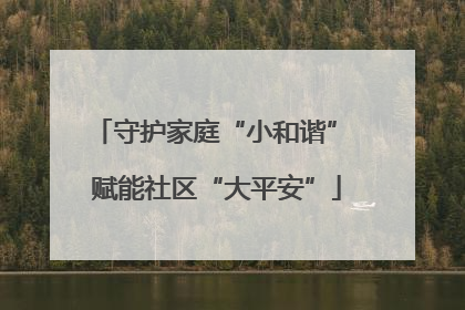 守护家庭“小和谐” 赋能社区“大平安”