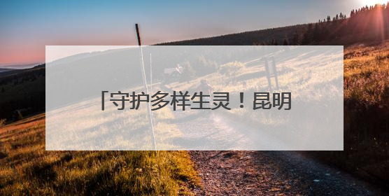 守护多样生灵！昆明市生态环保专业人大代表工作站解锁新玩法
