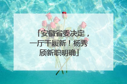 安徽省委决定，一厅干履新！杨秀颀新职明确