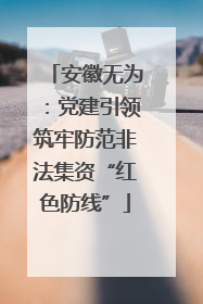 安徽无为：党建引领筑牢防范非法集资“红色防线”