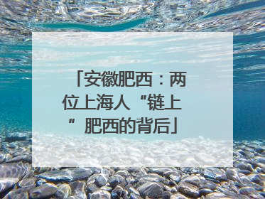 安徽肥西：两位上海人“链上”肥西的背后