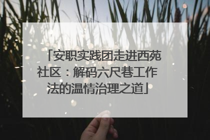 安职实践团走进西苑社区：解码六尺巷工作法的温情治理之道