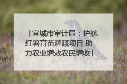 宜城市审计局：护航红薯育苗灌溉项目 助力农业增效农民增收